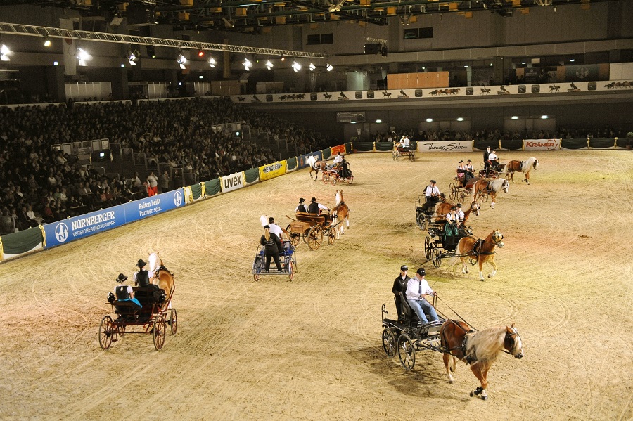 馬展，德國馬展，馬匹比賽